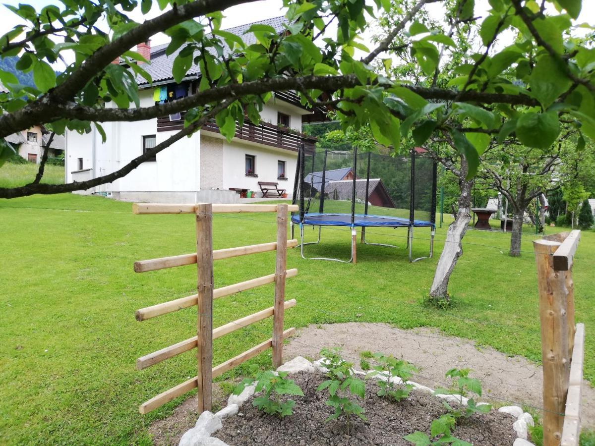 Soba Pri Bregarju Apartment Bohinj Ngoại thất bức ảnh